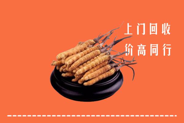 高价求购：彭阳县回收散虫草