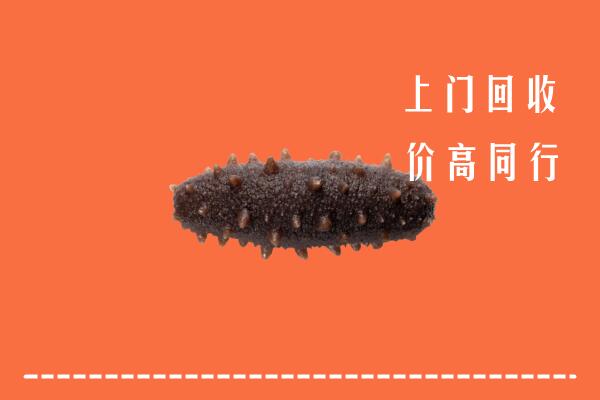 高价求购：彭阳县回收海参