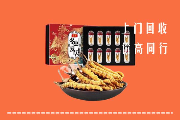 彭阳县回收虫草